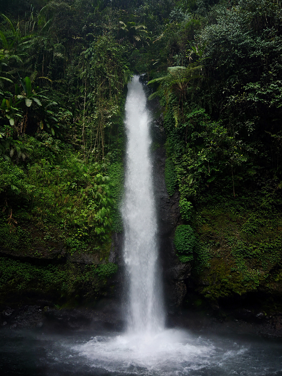 Single waterfall surrounded by lush forest